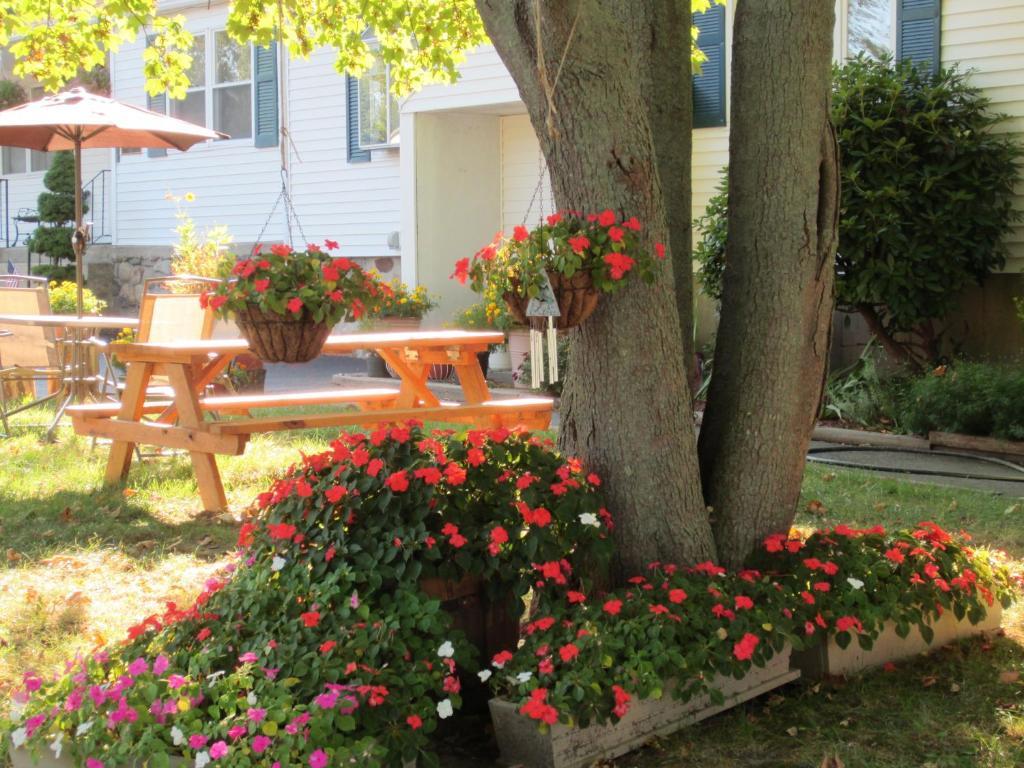 Founder'S Brook Motel And Suites Portsmouth Esterno foto